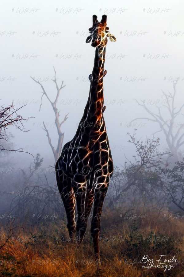 ANM00008 Giraffe