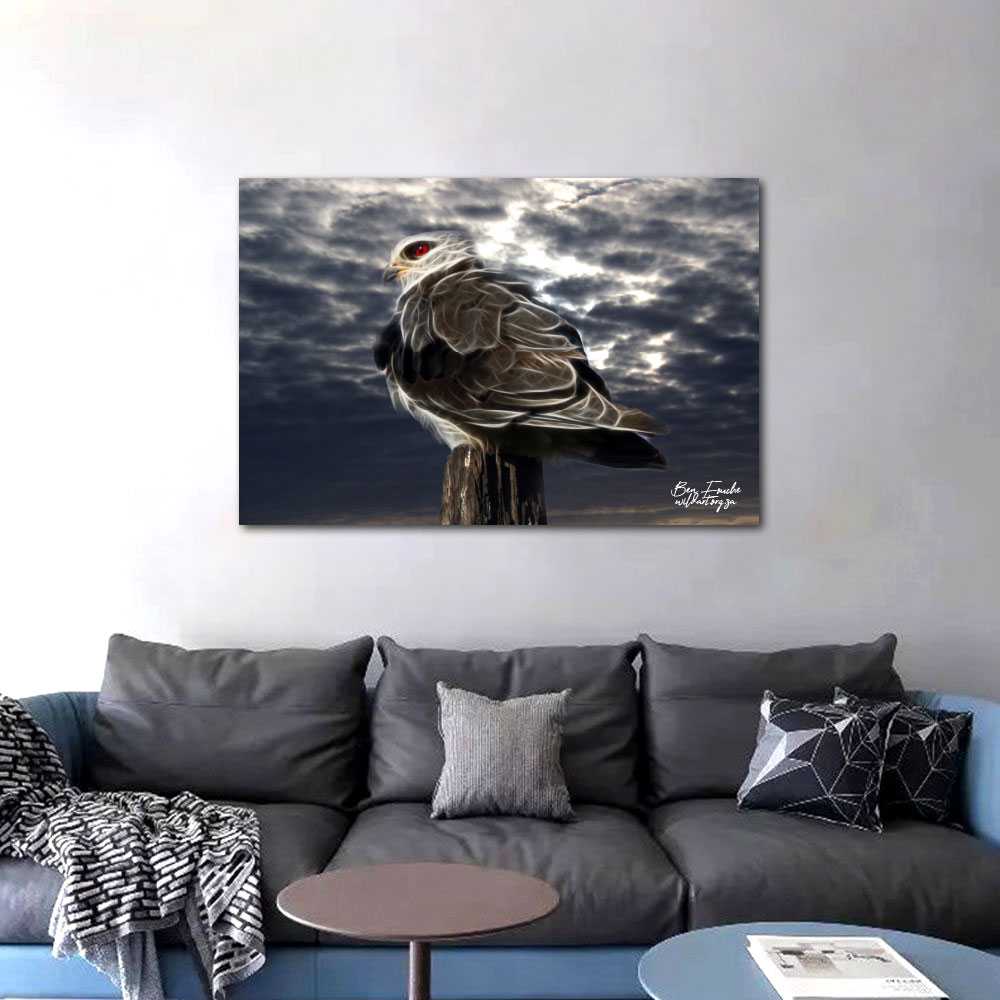 BRD00004 Black-Shouldered Kite