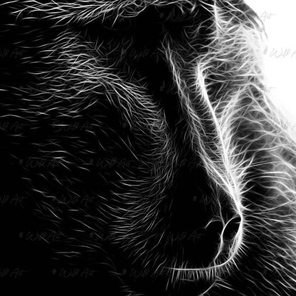 ANM00003 Baboon