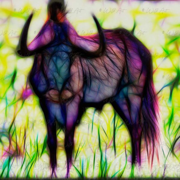 ANM00005-Black-Wildebeest