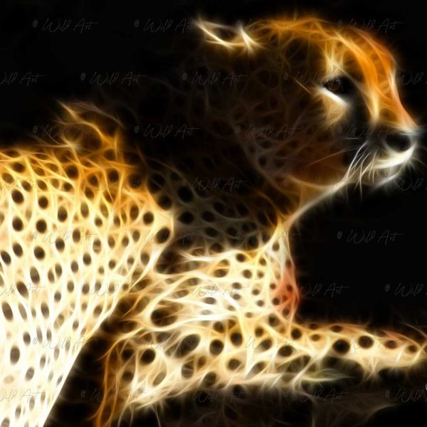 ANM00006-Cheetah