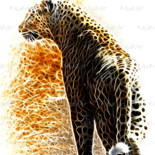 ANM00012 Leopard Hunting