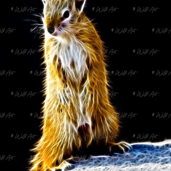 ANM00015 Tree Squirrels 1