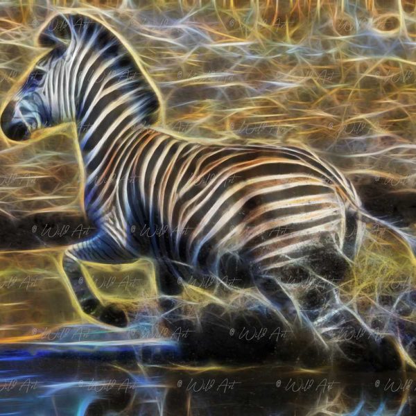 ANM00018 Zebra Flight