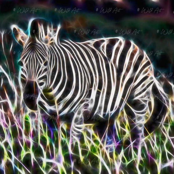 ANM00019 Zebra Alert