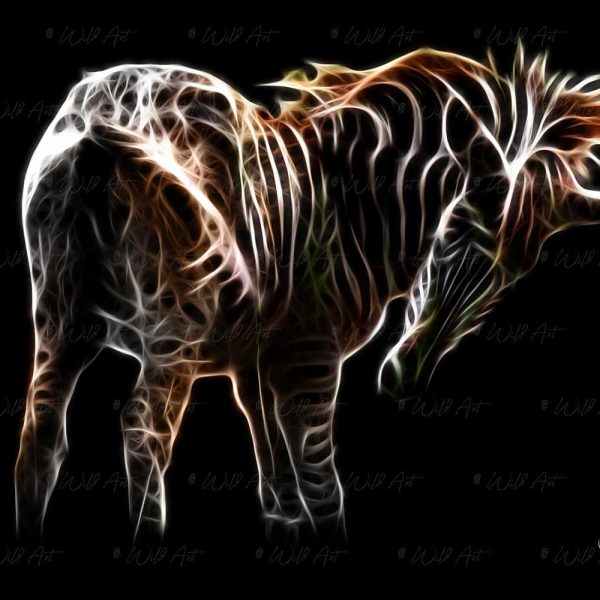 ANM00022 Zebra Filly