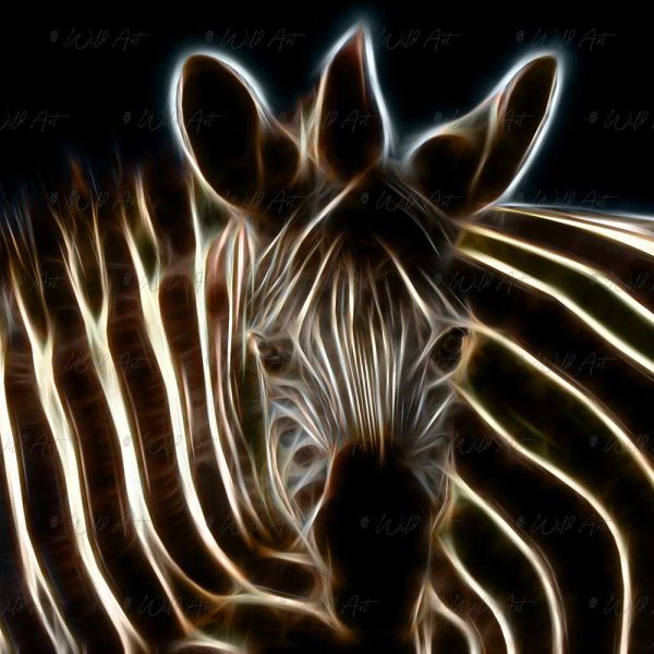 ANM00023 Zebra Twin