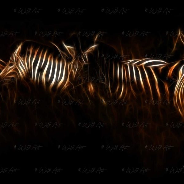 ANM00025 Zebras Dusk