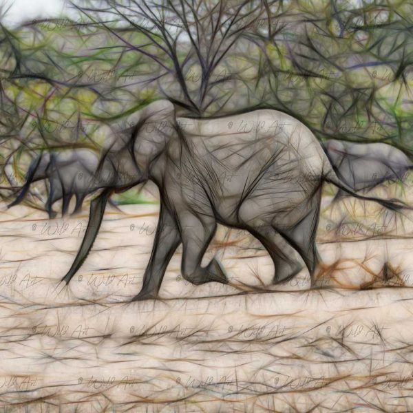 ANM00027 Elephant Young Bull