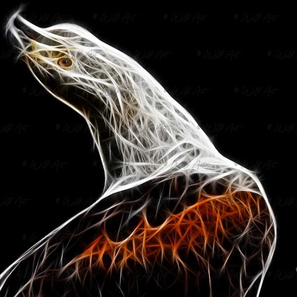 BRD00002 African Fish Eagle