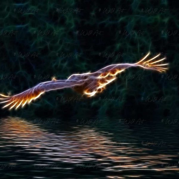 Fishing Owl