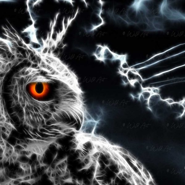 BRD00028 Spotted Eagle-Owl