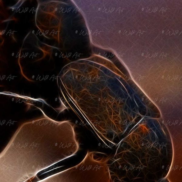 INS00001-Dung-Beetle