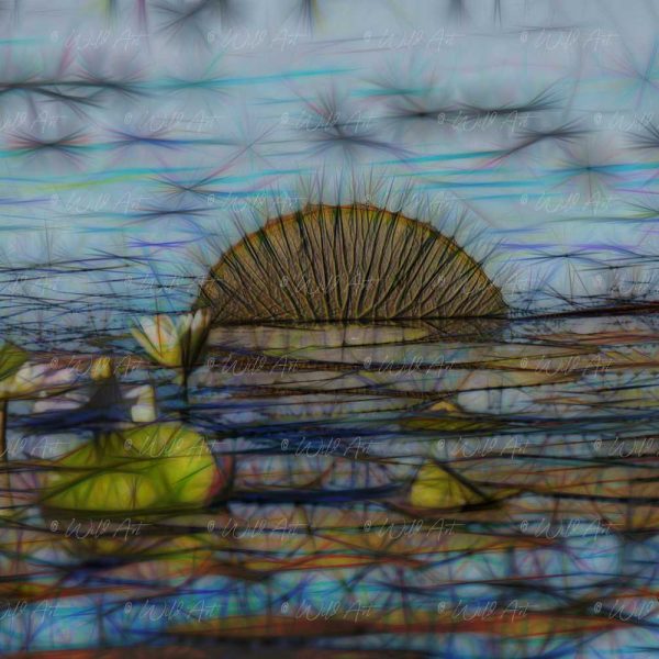LND00005-Water-Lilies